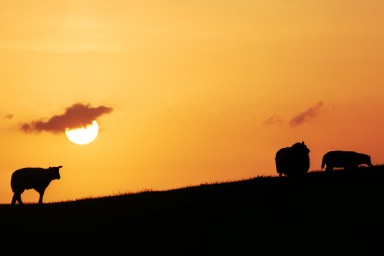 [Image 2002-03-06-01]
