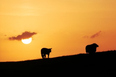[Image 2002-03-06-02]