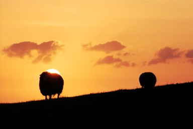 [Image 2002-03-06-05]