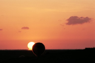 [Image 2002-03-06-08]