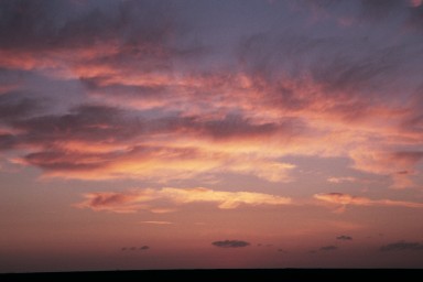 [Image 2002-03-06-14]