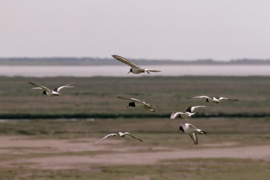 [Image 2002-03-07-13]