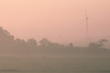 [Image 2002-03-07-31]