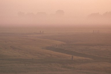[Image 2002-03-07-34]