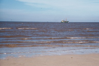 [Image 2002-03-08-07a]