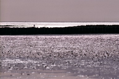 [Image 2002-03-11-01]