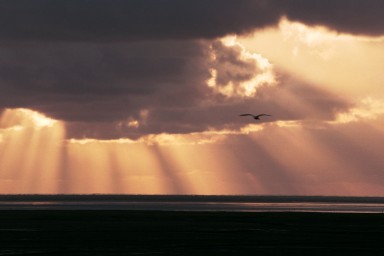 [Image 2002-03-14-24]