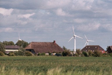 [Image 2002-03-14-31]