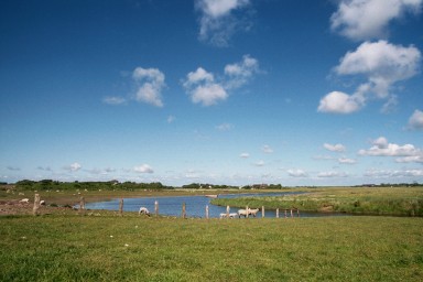 [Image 2002-03-14-32]