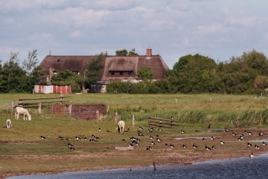 [Image 2002-03-14-35]
