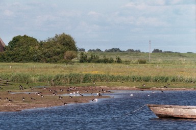 [Image 2002-03-14-36]