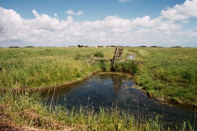 [Image 2002-03-17-09a]