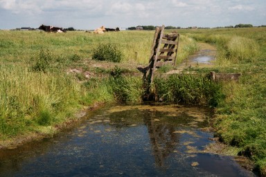 [Image 2002-03-17-10a]