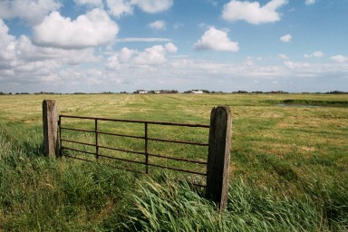 [Image 2002-03-17-13a]