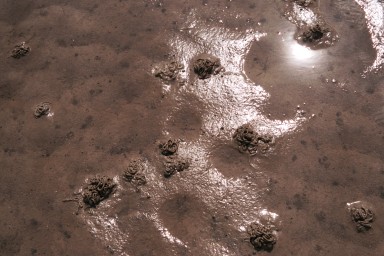 [Image 2002-03-17-31a]