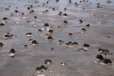 [Image 2002-03-17-33a]