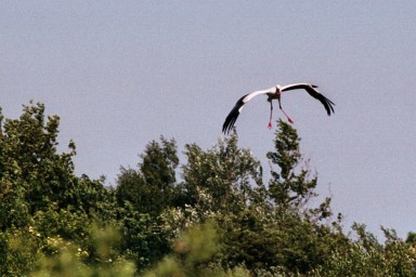 [Image 2002-03-18-32]