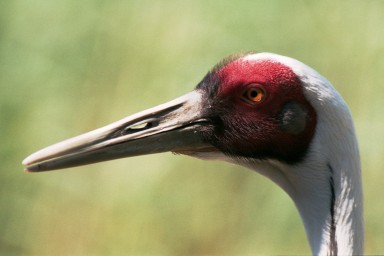 [Image 2002-03-19-22]