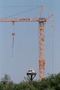 [Image 2002-03-20-06]