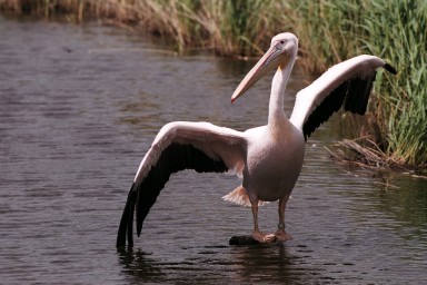 [Image 2002-03-20-27]