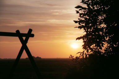 [Image 2002-03-21-08]