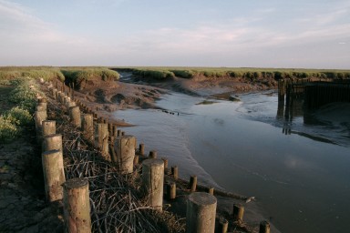 [Image 2002-03-21-19]