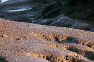 [Image 2002-03-21-21]