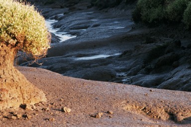 [Image 2002-03-21-22]
