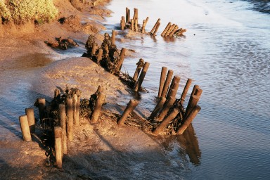[Image 2002-03-21-36]
