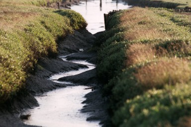 [Image 2002-03-22-09]