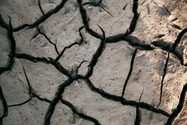 [Image 2002-03-22-11]