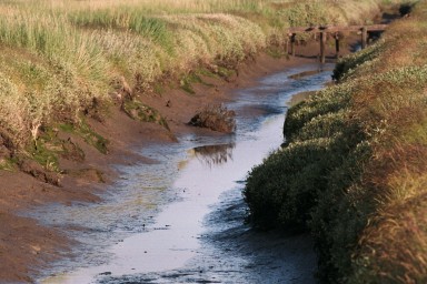 [Image 2002-03-22-28]