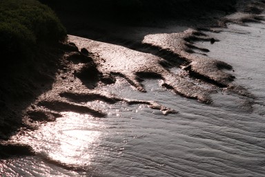 [Image 2002-03-23-12]