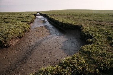 [Image 2002-03-23-15]