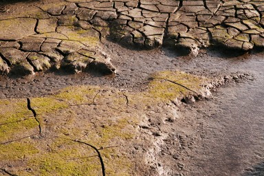 [Image 2002-03-23-17]