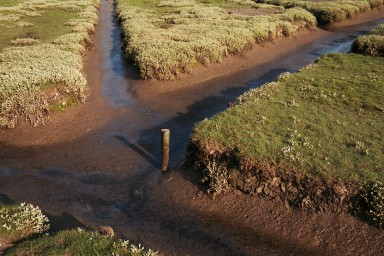 [Image 2002-03-23-18]