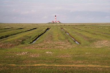 [Image 2002-03-23-19]