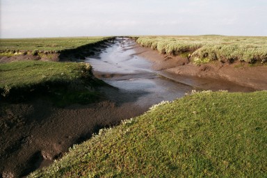 [Image 2002-03-23-20]