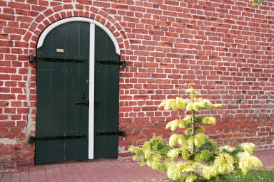 [Image 2002-03-23-29]