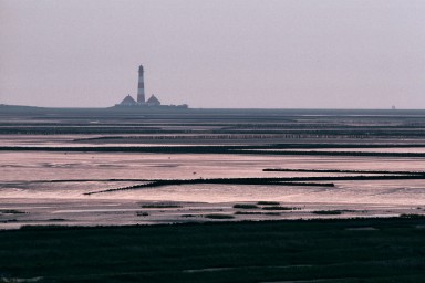 [Image 2002-03-25-01]