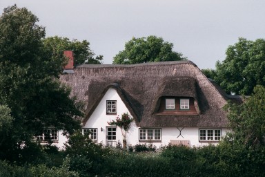 [Image 2002-03-25-34]