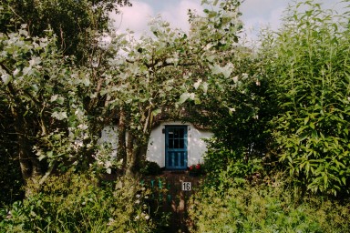 [Image 2002-03-26-06]