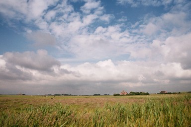 [Image 2002-03-26-14]